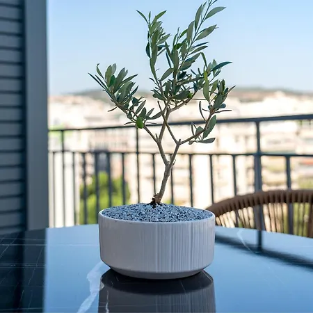 Apartment Ermou 55 Hive 3